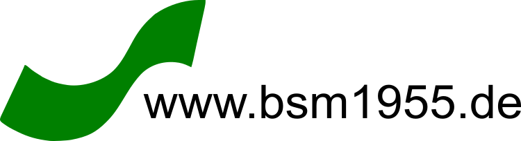 Unser Logo eine grüne Welle und der Text www.bsm1955.de
